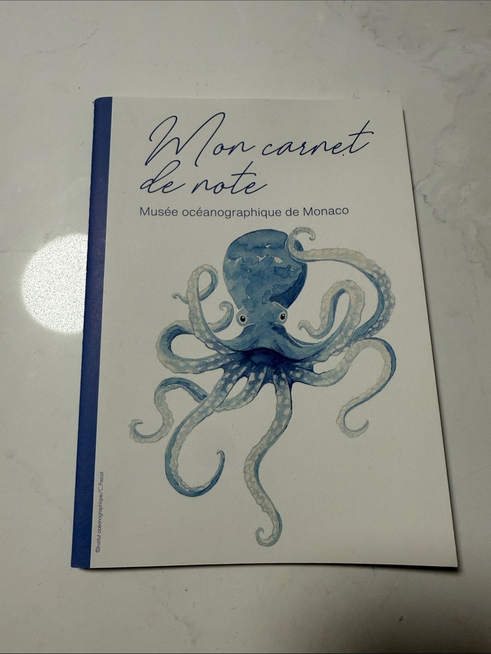 Mon carnet de note Notebook with Blue Octopus Cover
